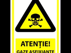 Indicator gaze asfixiante