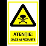 Indicator gaze asfixiante